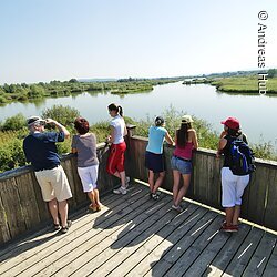 Gäste genießen vom Aussichtsturm auf der Vogelinsel die einmalige Aussicht über den Altmühlsee und die ganze Region