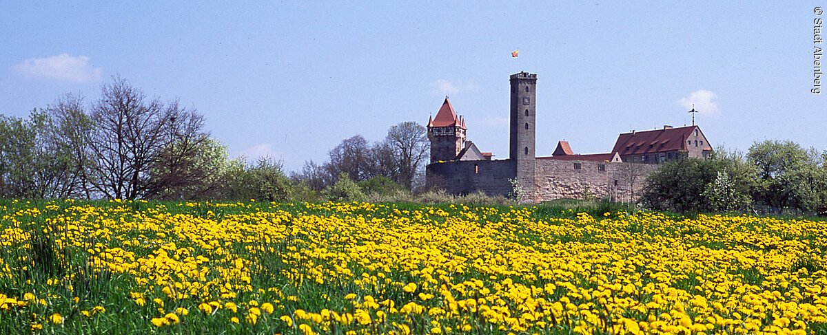 Im Hintergrund die Burg