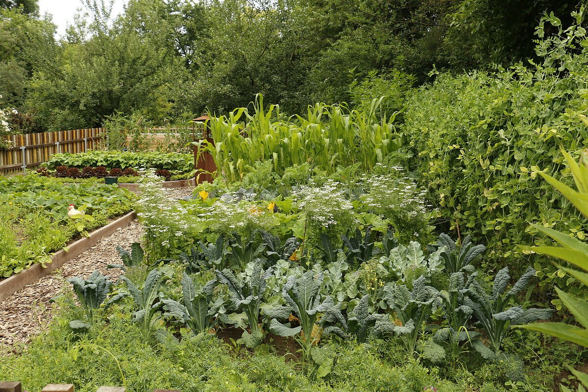 Bärbelsgarten