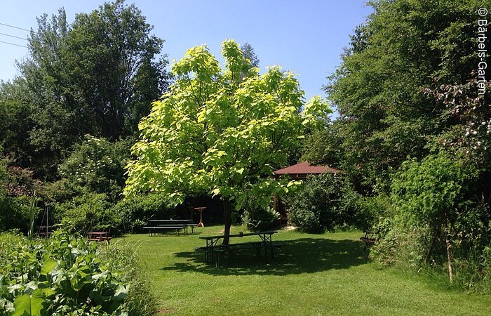 Bärbels Garten