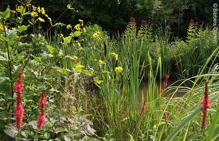 Bärbels Garten