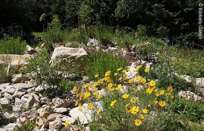 Bärbels Garten