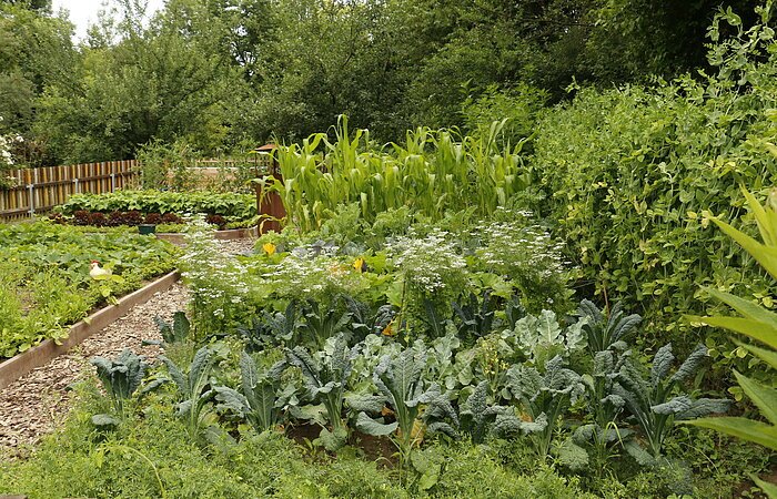 Bärbelsgarten