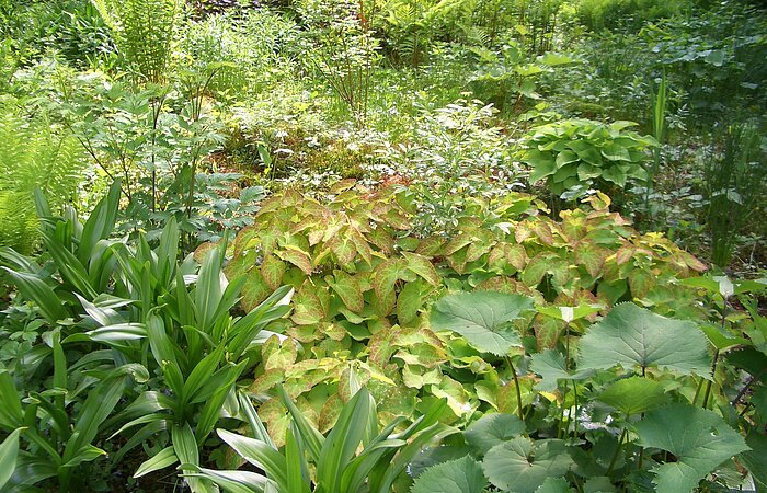 Bärbelsgarten