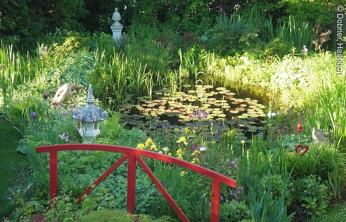 Garten mit Teich Familie Dobner