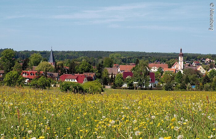 Blumenwiese bei Allersberg