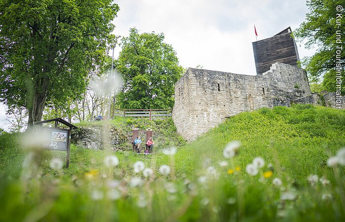 Burg - Obere Veste - 1