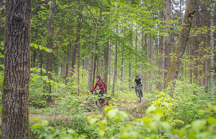 Radfahren auf den Heumöderntrails - 1