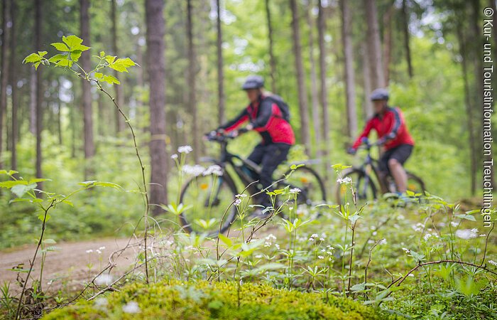 Radfahren auf den Heumöderntrails - 8