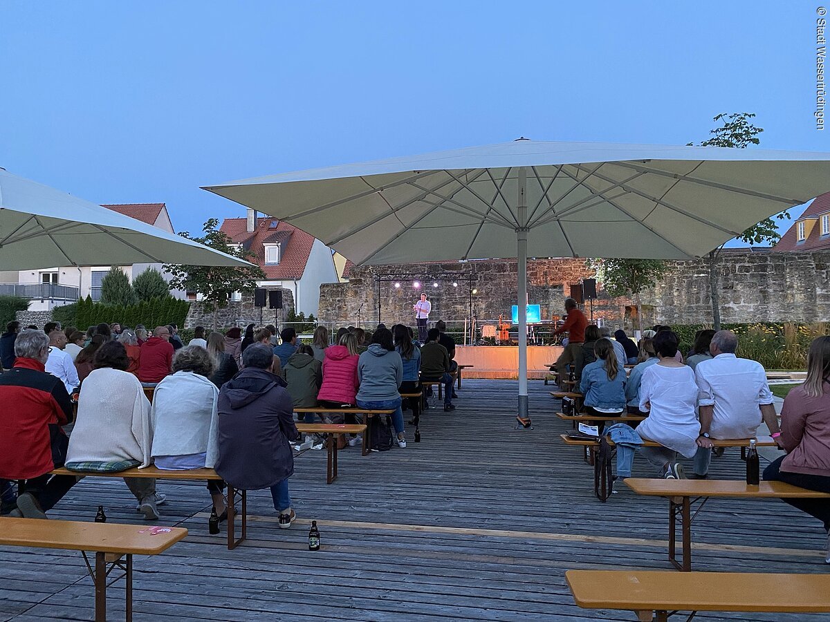 Wassertrüdinger Poetry Slam