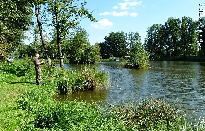 Ein Mann steht auf einer Wiese am Überleiter in Pfofeld und hält seine Angel ins Wasser. Am Ufer rund um den Überleiter stehen Bäume.