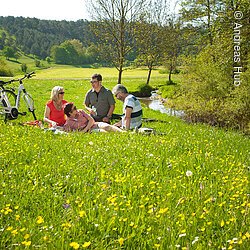 Entspanntes Picknick