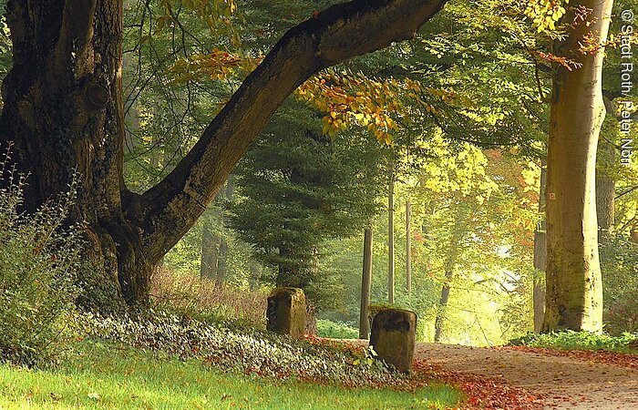 Weinberg-Park im Herbst
