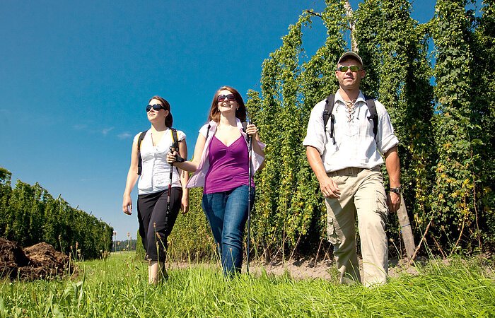 Nordic-Walking im Hopfen