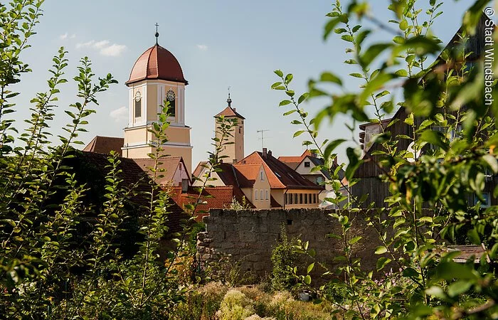 Blick durch grüne Äste auf die Altstadt von Windsbach. Über den Häuserdächern ragt ein Kirchturm hervor. Ein Turm mit weiß-gelber Fassade und rotem Haubendach.