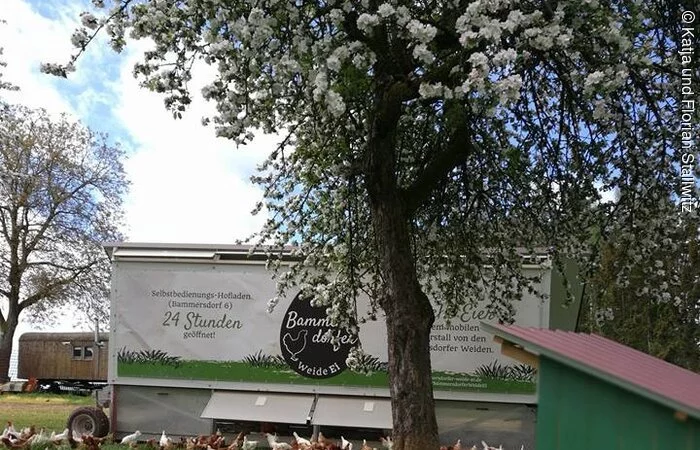 Der mobile Hühnerstall