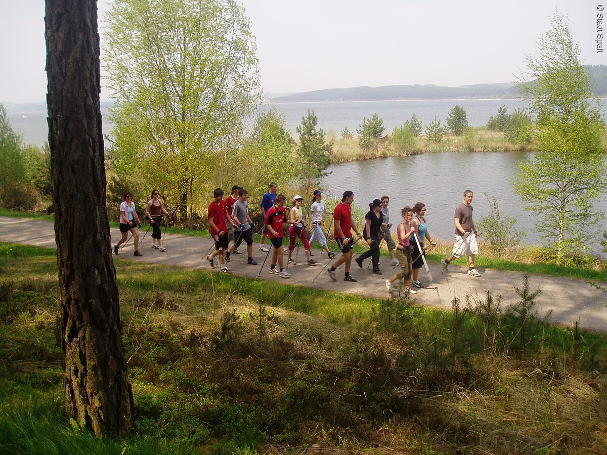 Eine Gruppe Nordic Walker wandern auf einem Weg direkt am Ufer durch grüne Wiesen.