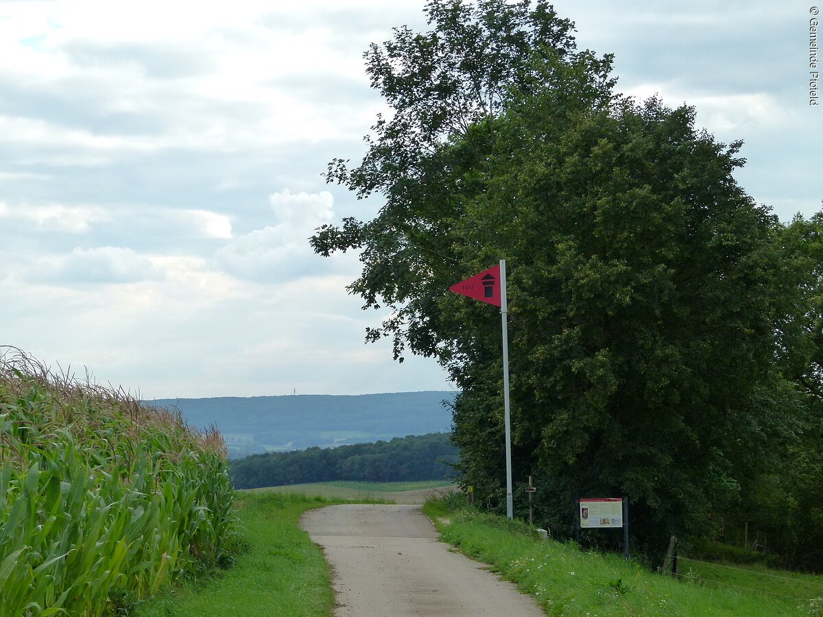 Ein kleiner Weg führt vorbei an einem Maisfeld sowie Bäumen und Sträuchern. Am Weg steht ein Wegweiser mit roter Fahne.