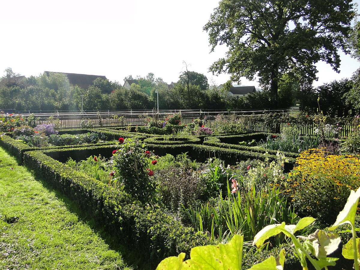 Ein schön angepflanzter Garten mit einer Eiche im Hintergrund