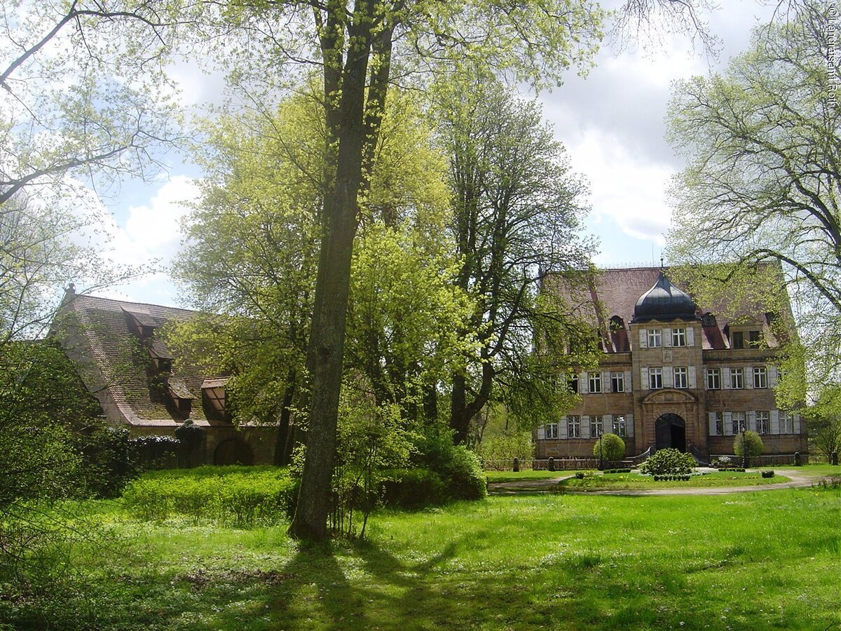 Hohe Bäume vor dem Schloss.