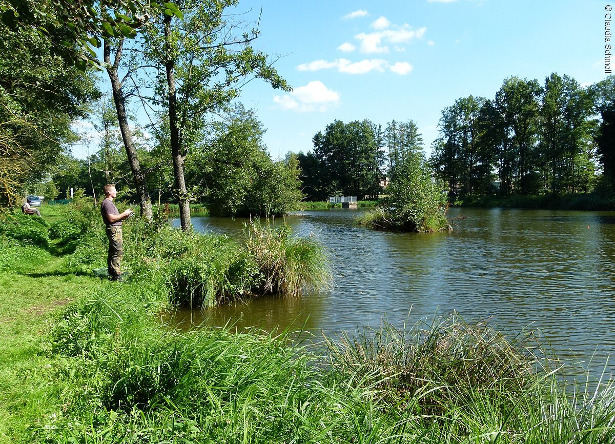 Ein Mann steht auf einer Wiese am Überleiter in Pfofeld und hält seine Angel ins Wasser. Am Ufer rund um den Überleiter stehen Bäume.