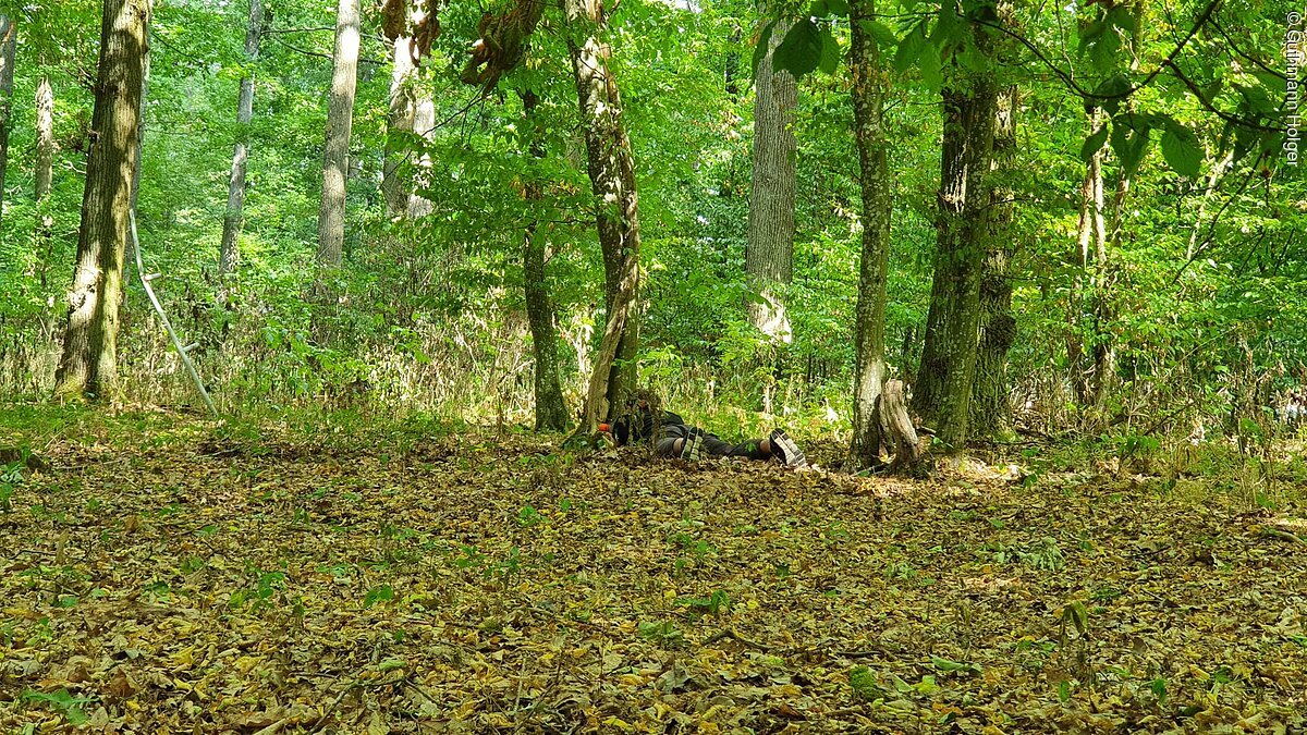 Blick in einen Wald. Am Boden liegt viel braunes Laub. Zwischen den Bäumen liegt eine Person in Tarnkleidung auf dem Boden und versteckt sich.