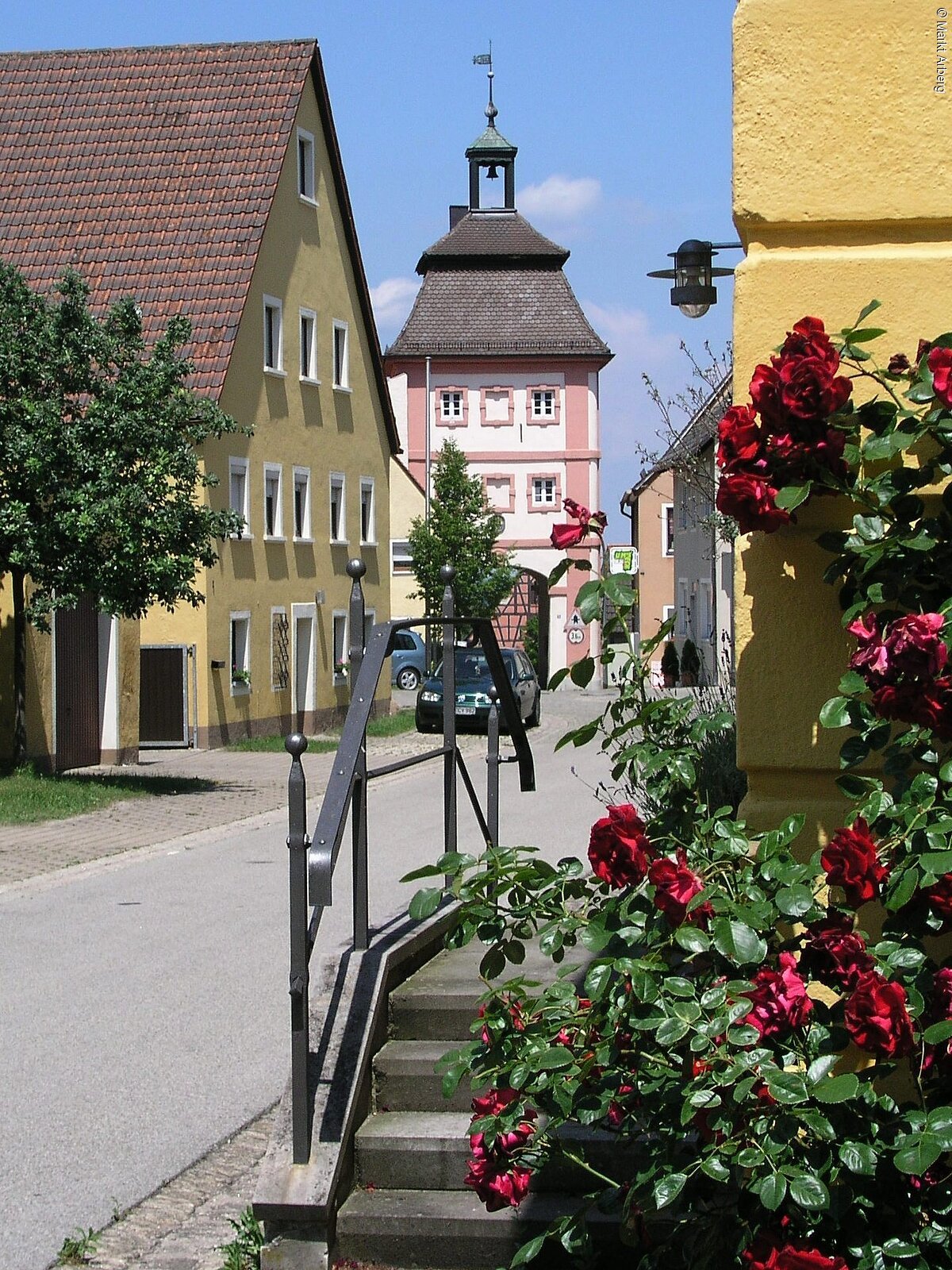 Der Arberger Torturm versteckt sich hinter einem Baum und blühenden Rosen.