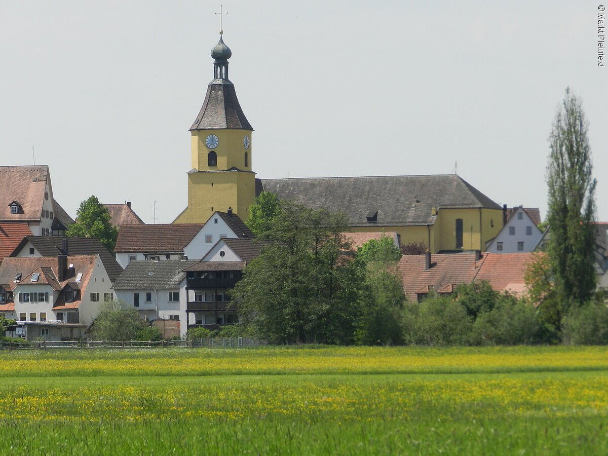 Blick auf die Ortsansicht von Pleinfeld mit ihrem gelben Kirchturm. Davor ein grüne Wiese mit gelben Blumen.