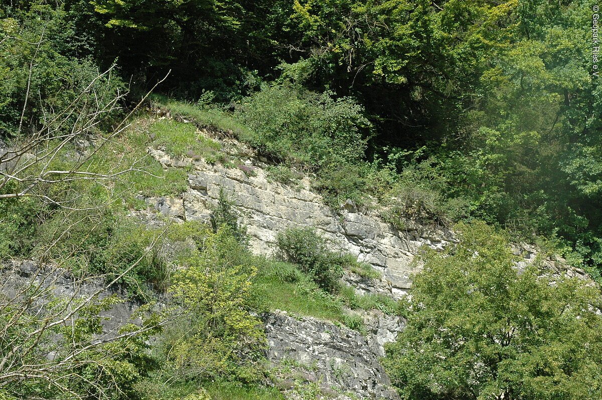 An einem Hang ist eine verwitterte Felswand von viel Vegetation umgeben.