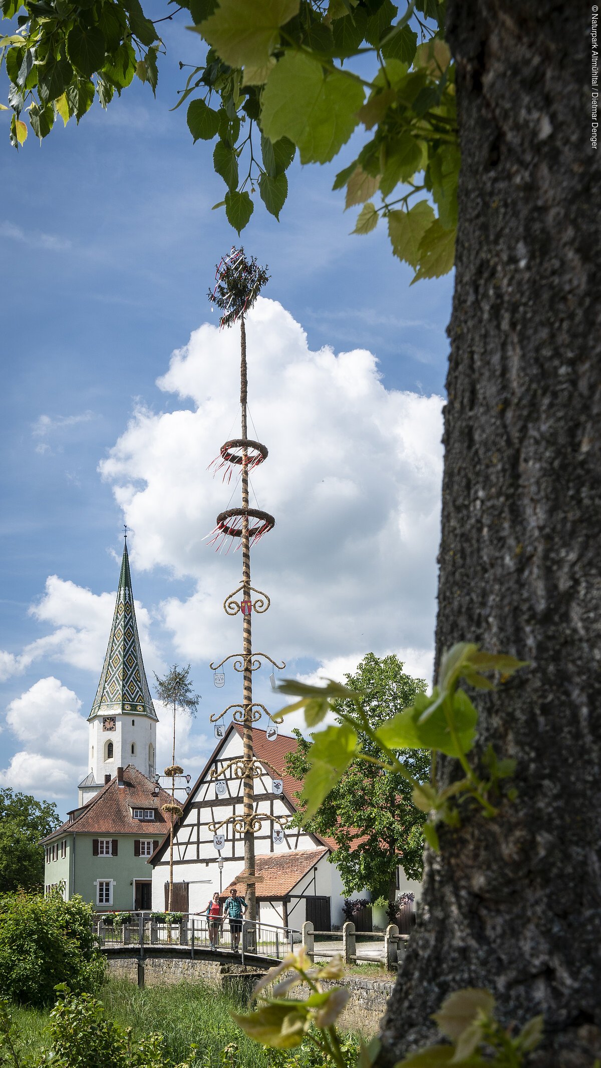 Maibaum in Meinheim