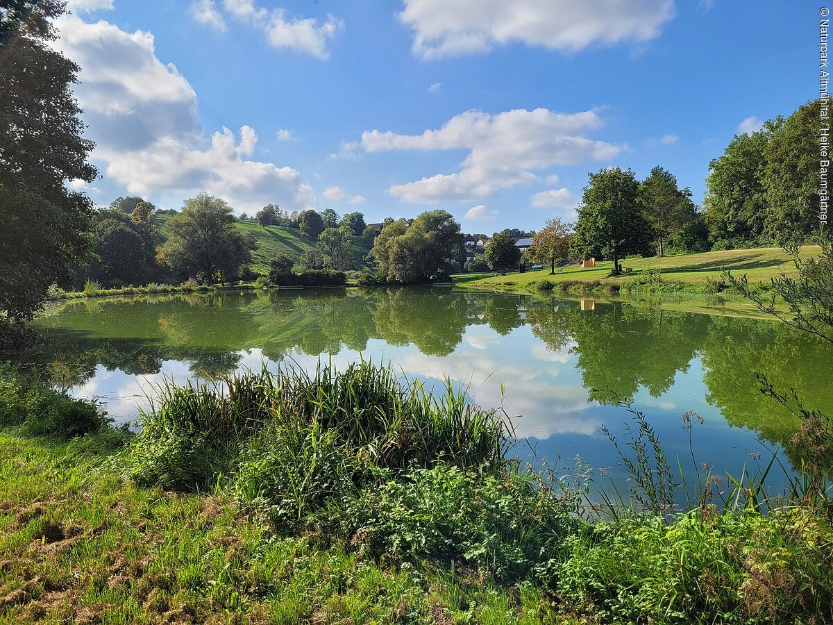 Bechthaler Weiher Ein Teich mit grüner Vegetation und Bäumen spiegelt sich im Wasser, unter blauem Himmel mit Wolken.
