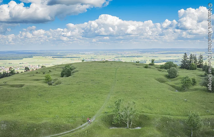 Weite grüne Wiesenlandschaft mit vereinzelten Bäumen, im Hintergrund ein Dorf und blauer Himmel mit Wolken.