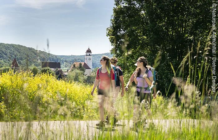 Drei Wanderer mit Rucksäcken auf Weg vor gelben Blumen und Dorf mit Kirchturm im Hintergrund