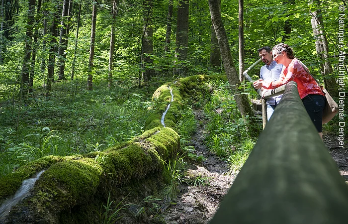 Zwei Personen lehnen an einem Geländer im Wald neben einem moosbedeckten Baumstamm mit Wasserfluss.