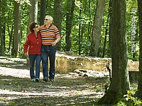 Ein älteres Eehepaar spaziert durch den Wald.