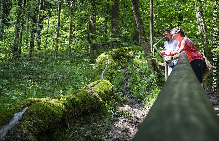 Steinerne Rinne bei Wolfsbronn Zwei Personen lehnen an einem Geländer im Wald neben einem moosbedeckten Baumstamm mit Wasserfluss.