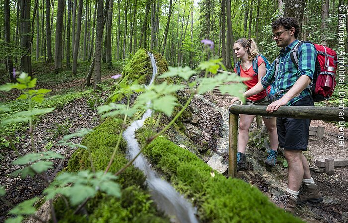 Steinerne Rinne bei Wolfsbronn Zwei Wanderer mit Rucksäcken beobachten einen mit Moos bewachsenen Wasserlauf im Wald.