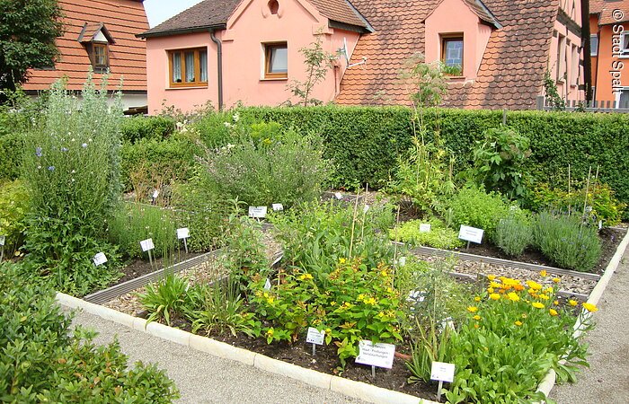 Apothekergarten Verschiedene Kräutersorten erwarten die Gäste.