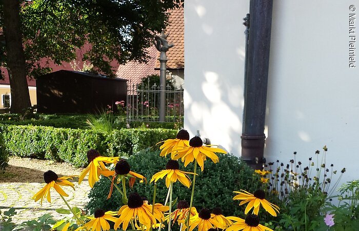 Diese Blumen nennen sich "Sonnenhut"