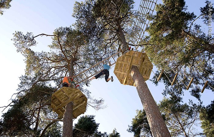 Dem Himmel ein Stück näher in Enderndorf Zwei mutige Kletterlustige im Kletterwald Enderndorf hangeln sich in großer Höhe entlang einer Leiter von Baum zu Baum.