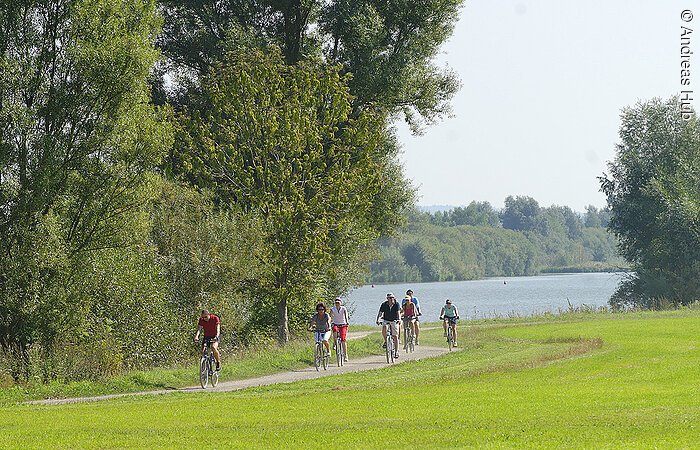 Eine Gruppe Radler fährt auf einem Uferweg entlang grüner Wiesen und Bäume. Im Hintergund sieht man einen See.