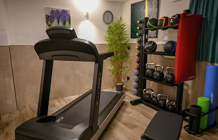 Ein Fitnessbereich mit Laufband, Gewichten auf einem Regal. Im Hintergund eine grüne Pflanze.