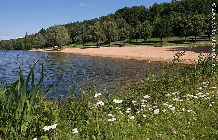 Wiese mit weißen Blumen am Igelsbachsee. Im Hintergund beginnt links der See und rechts ist ein Sandstrand und eine angrenzende Liegewiese mit Bäumen.