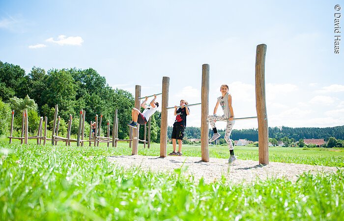 Motorikpark Windsbach Drei Kinder spielen an drei Turnstangen. Die Turnstangen stehen auf einer grünen Wiese.