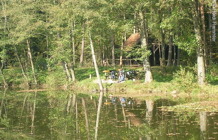 Blick auf den Brummer Weiher. Im Hintergrund sitzt ein Ehepaar unter Bäumen auf einer Bank am Ufer.