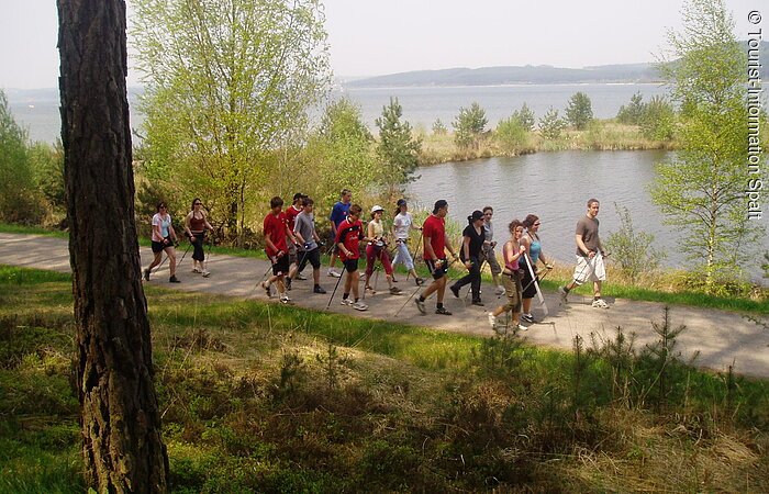Eine Laufgruppe walkt mit Walkingstöcken auf einem Schotterweg um den See. Hinter ihnen der See. Der Weg führt entlang von Wiesen und Bäumen.