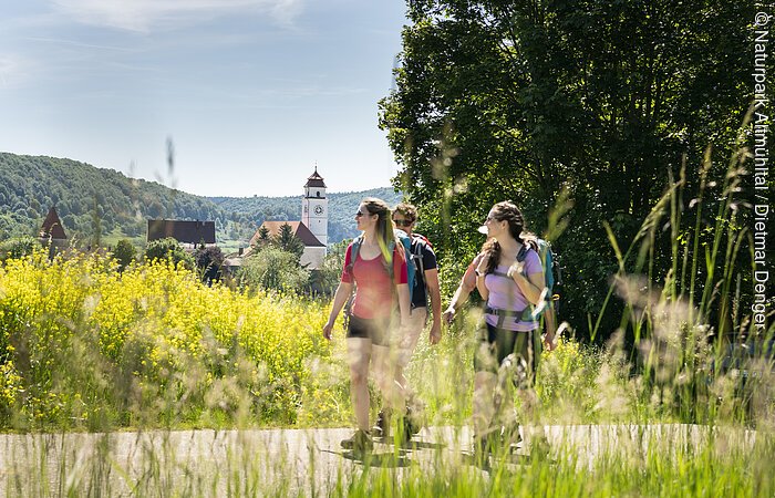 Drei Wanderer mit Rucksäcken auf Weg vor gelben Blumen und Dorf mit Kirchturm im Hintergrund