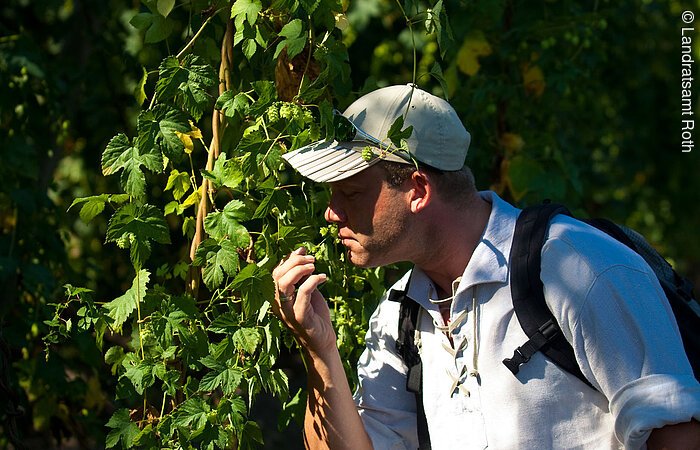 Ein Man riecht an den Zweigen eines grünen Baumes.