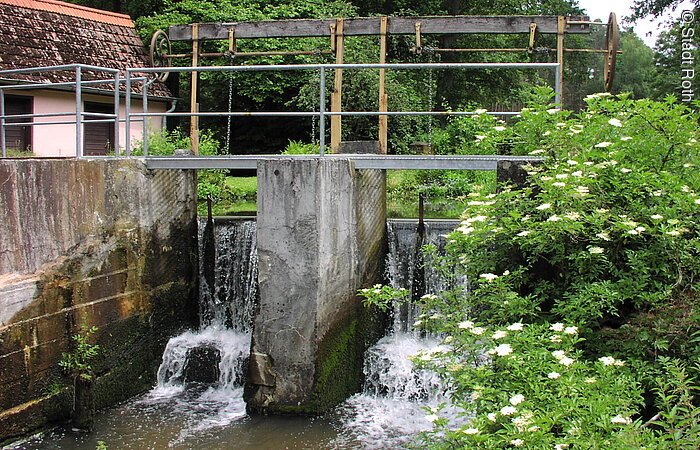 Eine alte Schleuse mitten im Grünen. Ein Bach der durch die Schleuse fließt. Links im Hintergund ein kleines altes Häuschen.