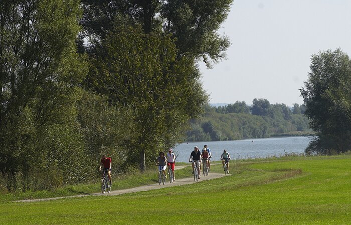 Eine Gruppee Radler fährt auf einem Radweh am See entlang grüner Wiesen. Im Hintergund liegt ein See.